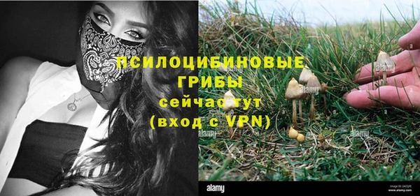 меф VHQ Дмитриев