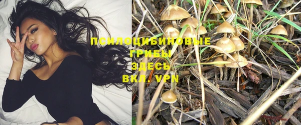 MESCALINE Гусь-Хрустальный