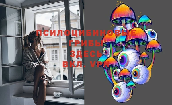 apvp Дмитровск
